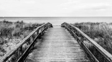 anton-sharov-_kkx1WekVRY-unsplash_web