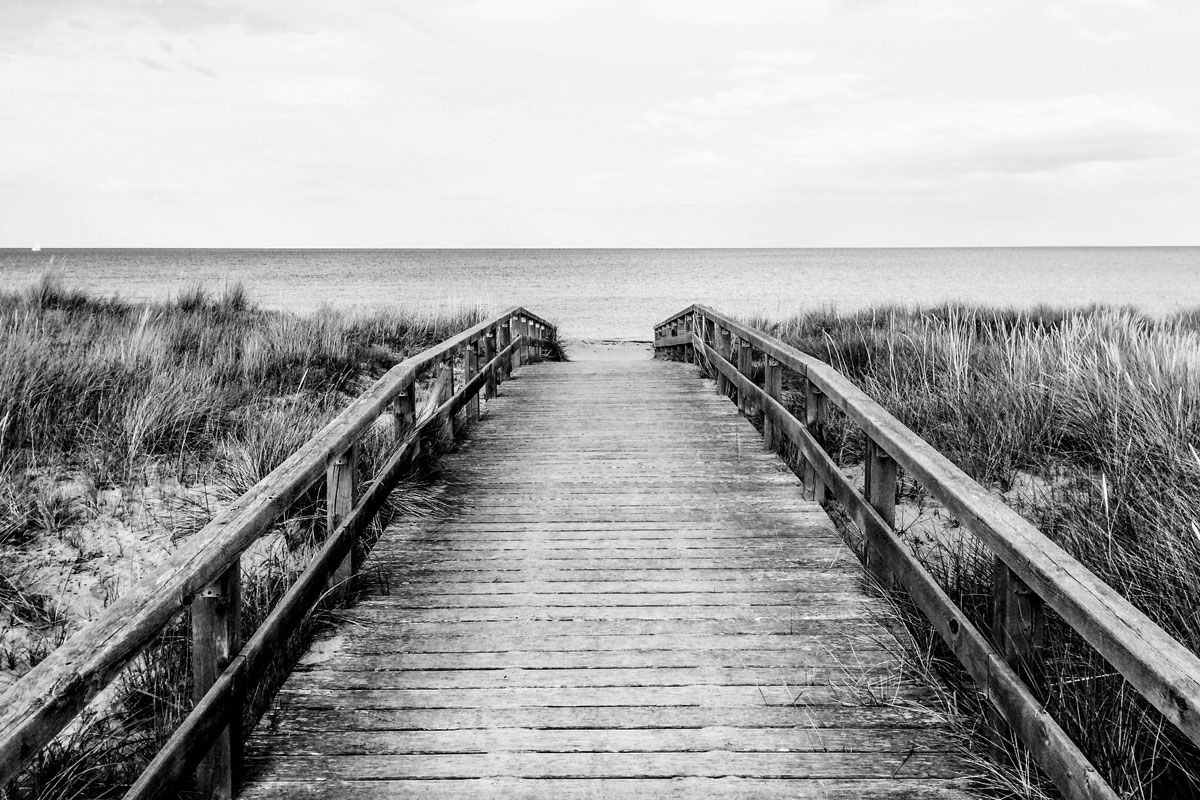 anton-sharov-_kkx1WekVRY-unsplash_web